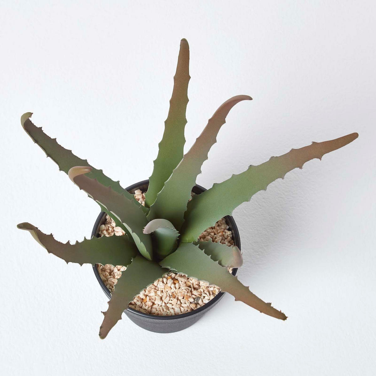 KUNSTPFLANZE Aloe vera im Deko-Topf, 30 cm - Grün, Kunststoff (30cm) - Homescapes