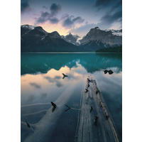 FOTOTAPETE Berglandschaft 200 x 280 cm - Grau, Papier (200/280cm) - Sanders & Sanders