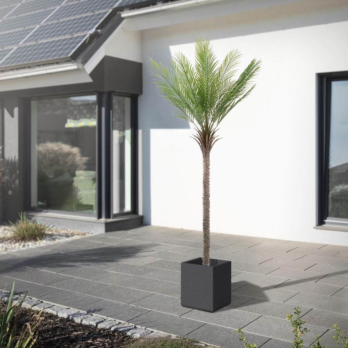 KUNSTPFLANZE Palme - Anthrazit/Grün, Holz/Kunststoff (210cm) - ML-DESIGN