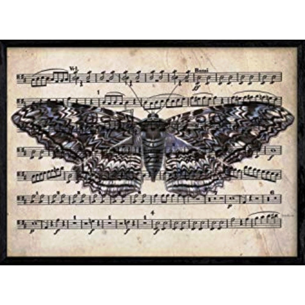 POSTER Von Motilla-Residenz A4 Schwarzer Rahmen - Schwarz, Papier (29.7/5/21cm) - Nacnic