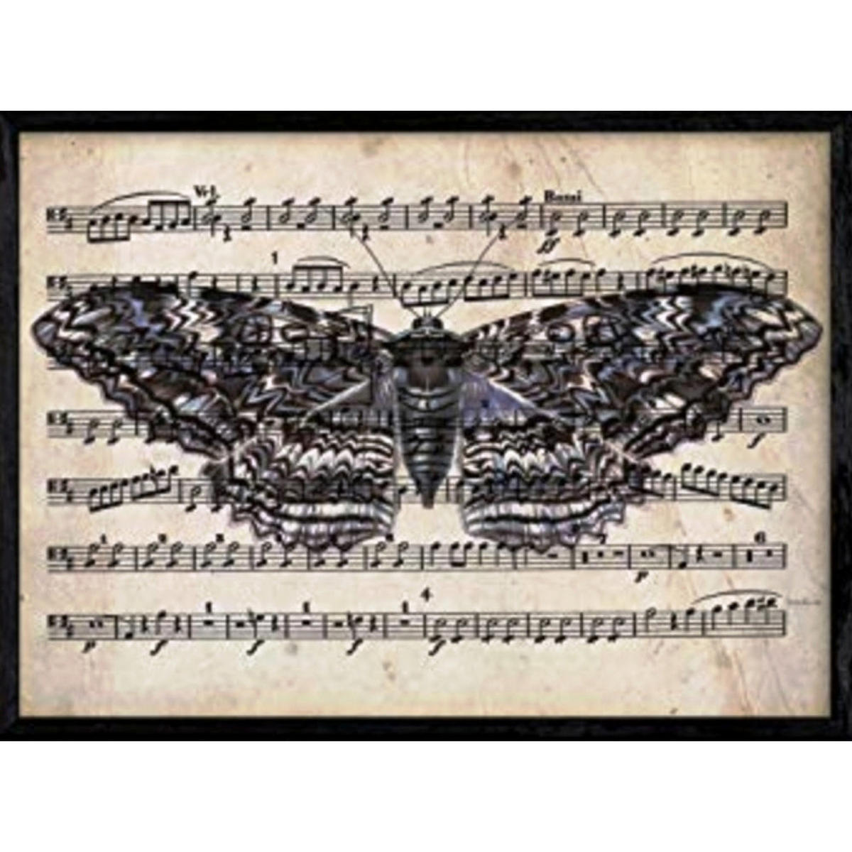 POSTER Von Motilla-Residenz A4 Schwarzer Rahmen - Schwarz, Papier (29.7/5/21cm) - Nacnic