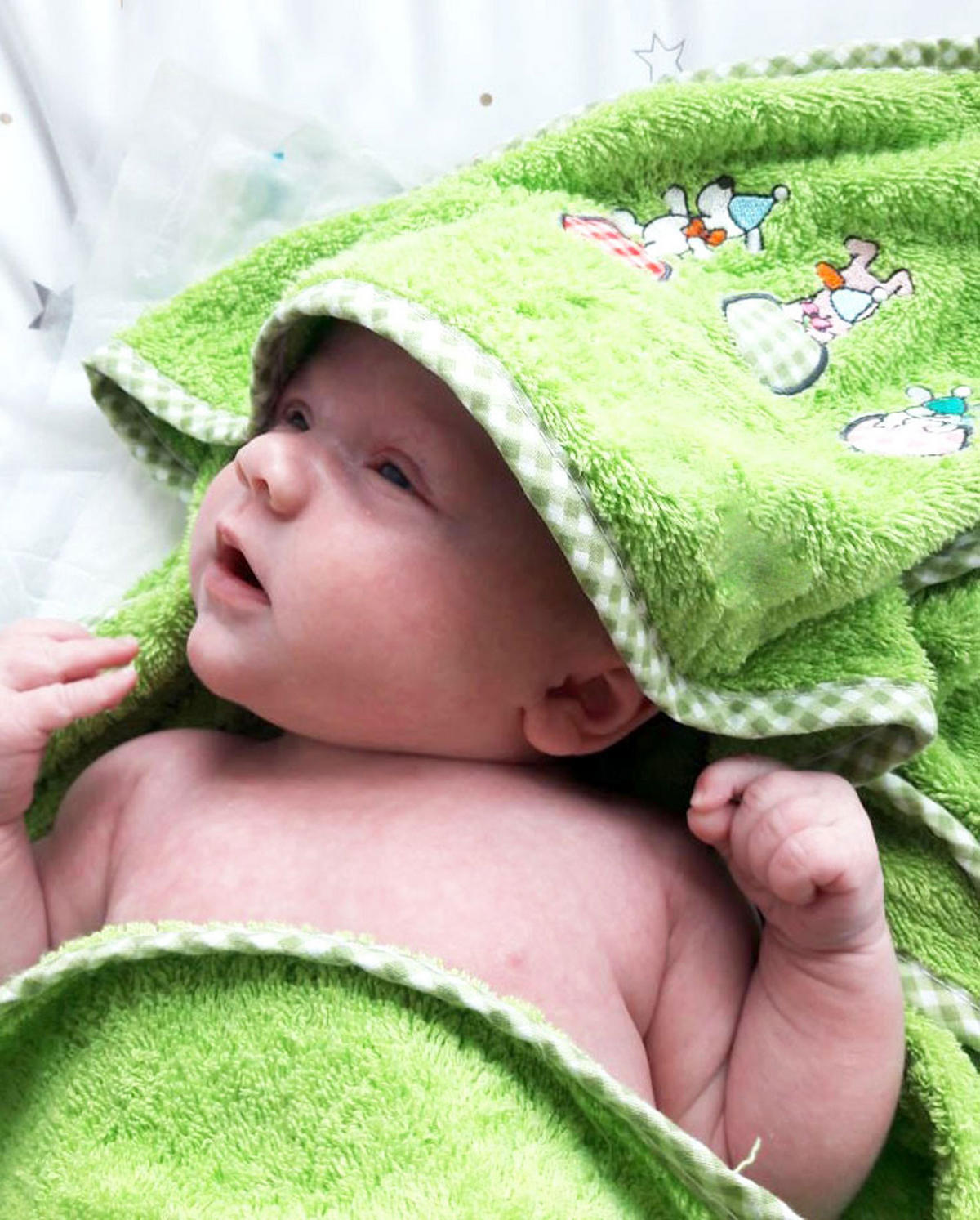 HANDTÜCHER, 100x100 cm, 100% Baumwolle, Grün - Hellgrün, Textil (100/100cm) - Zollner