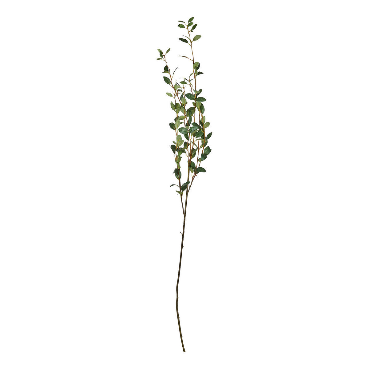 KUNSTBLUME Florista Weidenzweig - Grün, Kunststoff (22cm) - Butlers