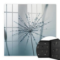 SCHLÜSSELBOX Schwarz 30x30 cm- Türöffnung nach rechts - Löwenzahn und Wassertropfen - Grau, Metall (30/30/5cm) - TULUP