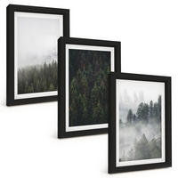 BILDER SET 3er Set - 20x30 cm Schwarzer Rahmen - Grüne Wälder Nebel Natur - Schwarz, Kunststoff (20/30cm) - TULUP