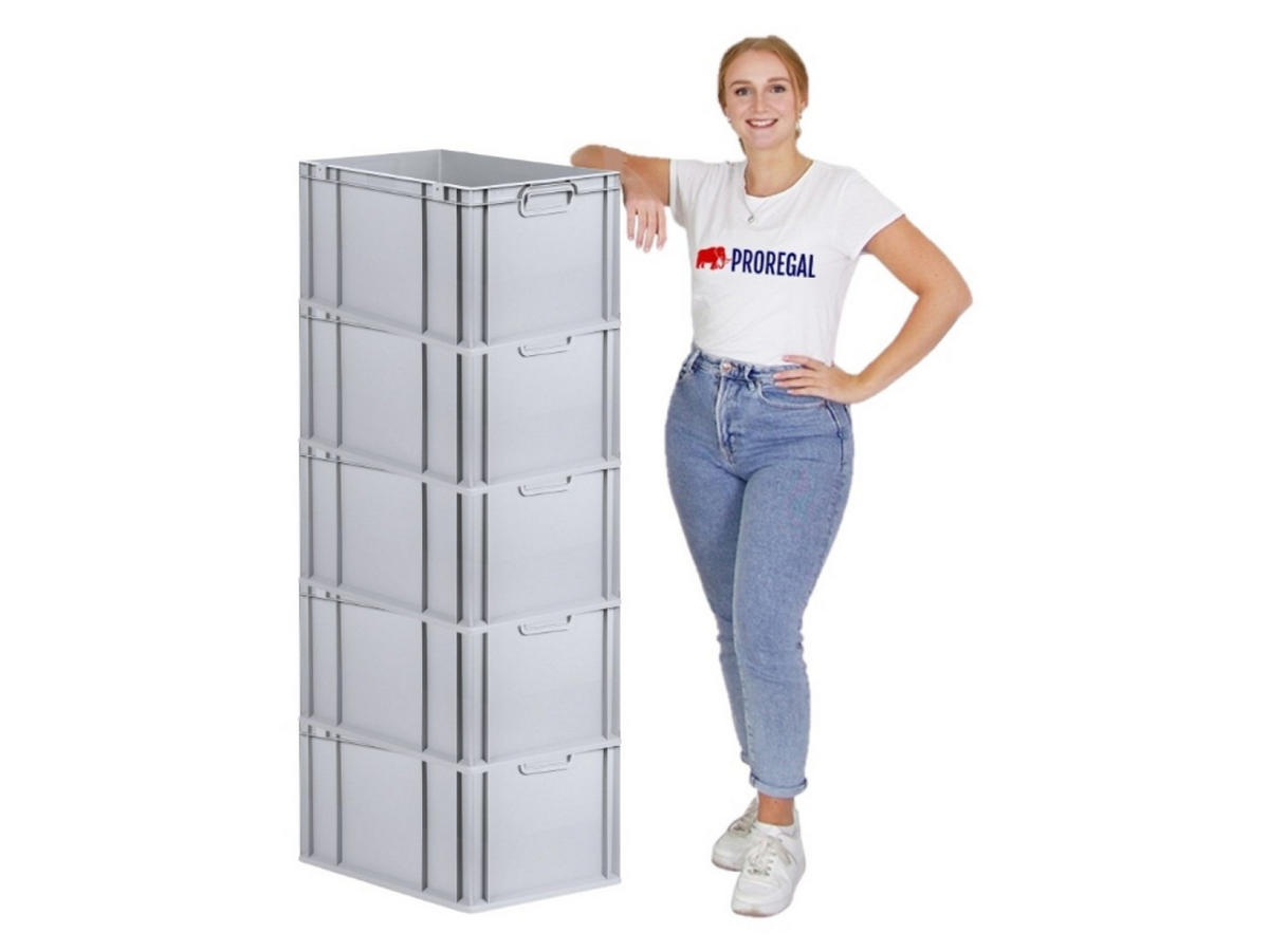 EUROBOX 5x Nextgen Economy Griffe Geschlossen 32x40x60cm 65 Liter - Grau, Kunststoff (40/32/60cm) - PROREGAL