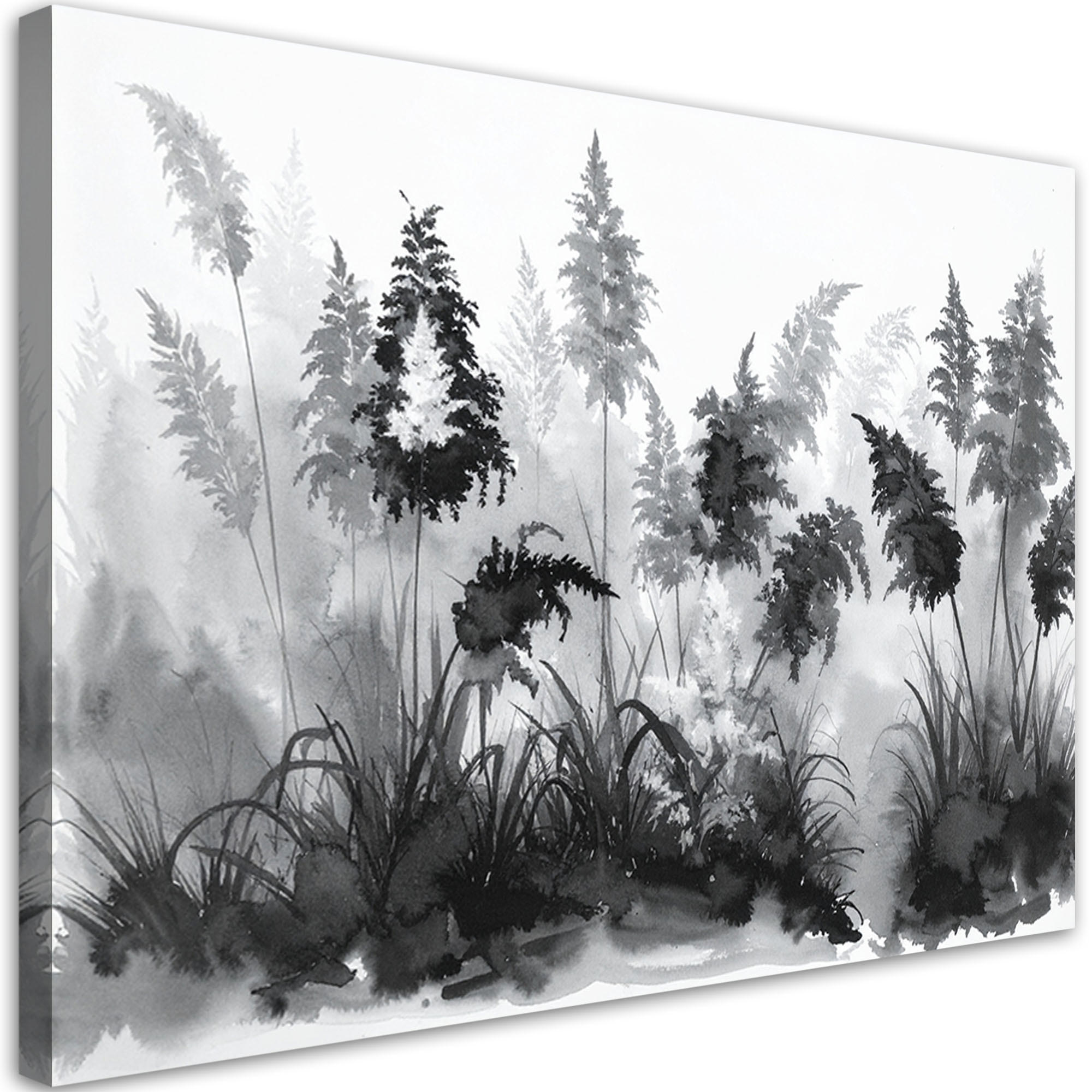 LEINWANDBILD Schwarz-weißes Pampasgras 120x80cm - Schwarz, Textil (120/80cm) - Feeby