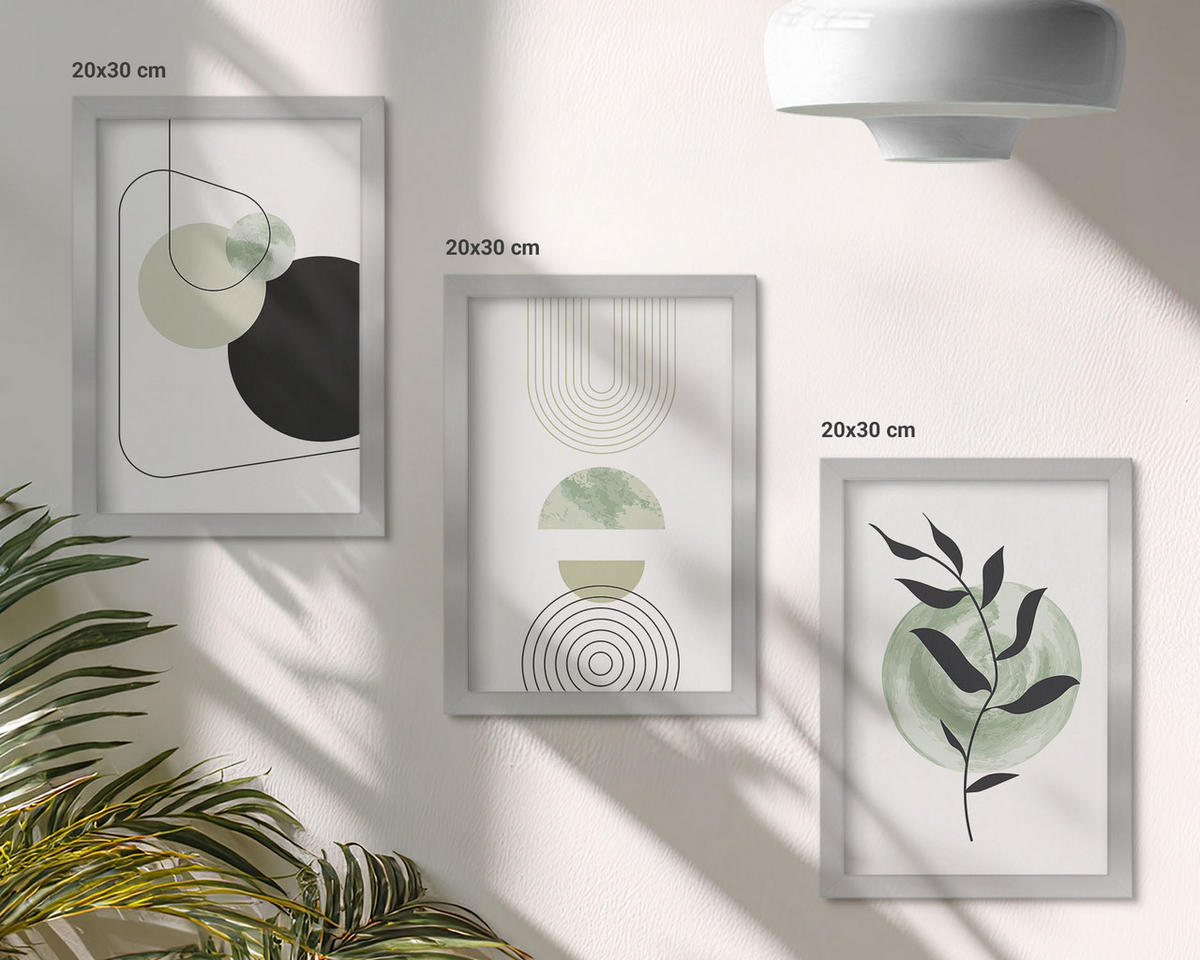 WANDBILDER 3er Set - 20x30 cm Silberner Rahmen - Abstrakte Pflanzenformen - Silberfarben, Kunststoff (20/30cm) - ArtPrintCave