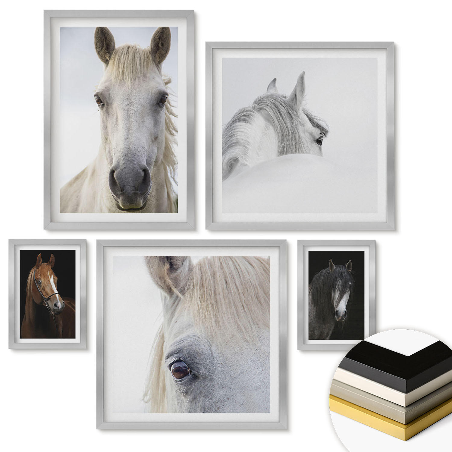 WANDBILDER 5er Set - 50x50 cm & 20x30 cm & 40x60 cm Silberner Rahmen - Pferdeporträts in Schattierungen - Silberfarben, Kunststoff (40/60cm) - ArtPrintCave