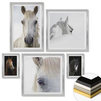 WANDBILDER 5er Set - 50x50 cm & 20x30 cm & 40x60 cm Silberner Rahmen - Pferdeporträts in Schattierungen - Silberfarben, Kunststoff (40/60cm) - ArtPrintCave