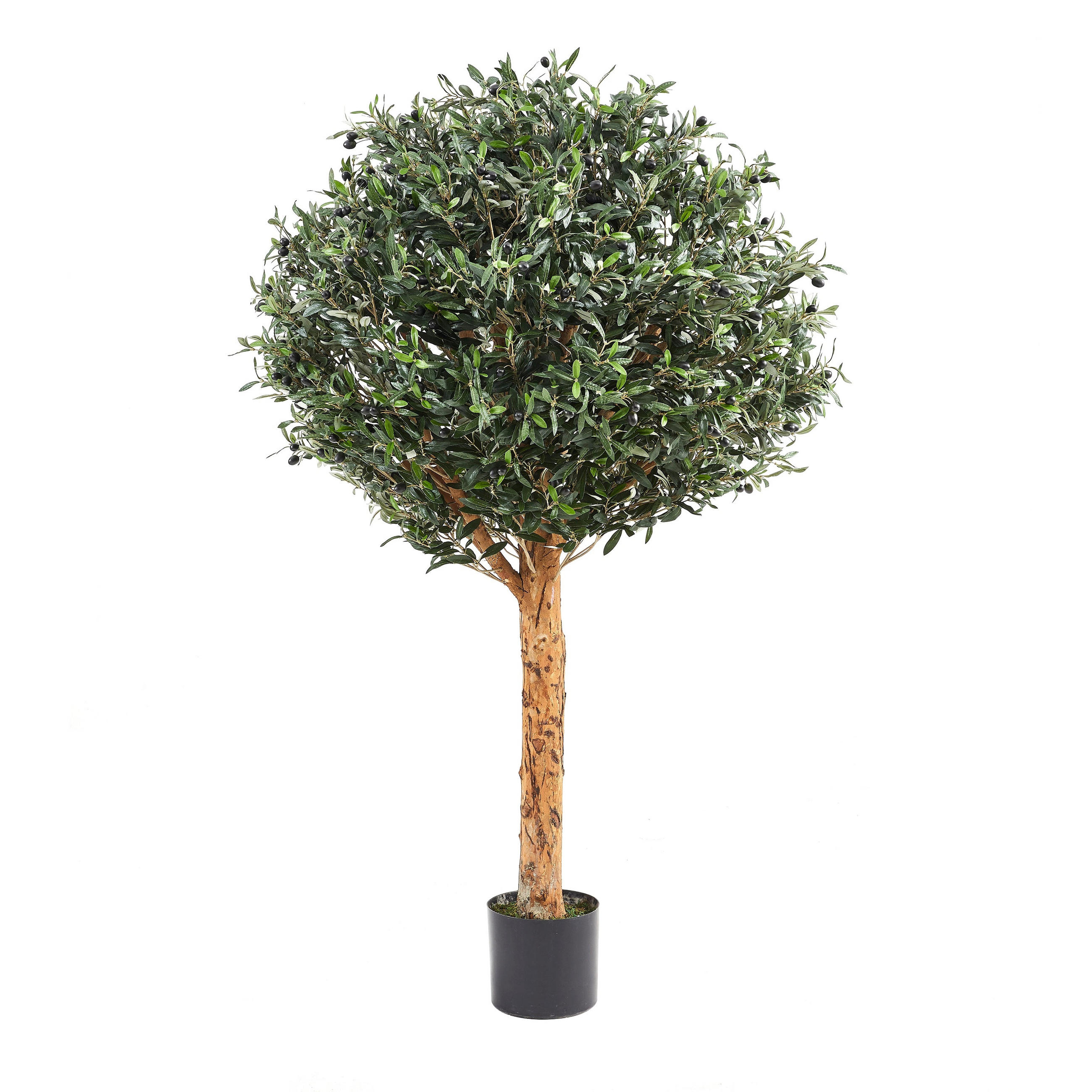 KUNSTBAUM Künstlicher Olivenbaum – Eleutherios 180 cm - Grün, Kunststoff (180cm) - aplanta