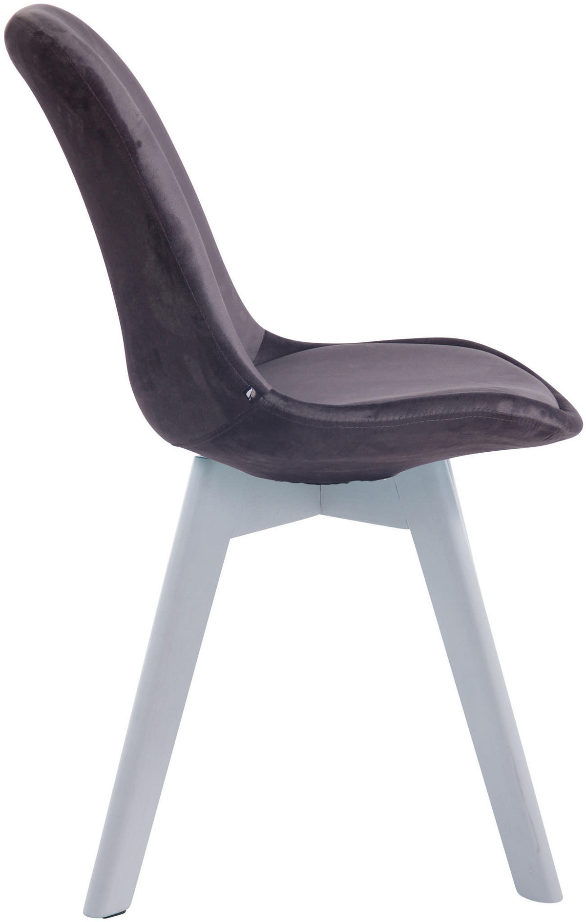 STUHL Samt dunkelgrau - Dunkelgrau/Weiß, Holz/Textil (48/84/55cm) - CLP