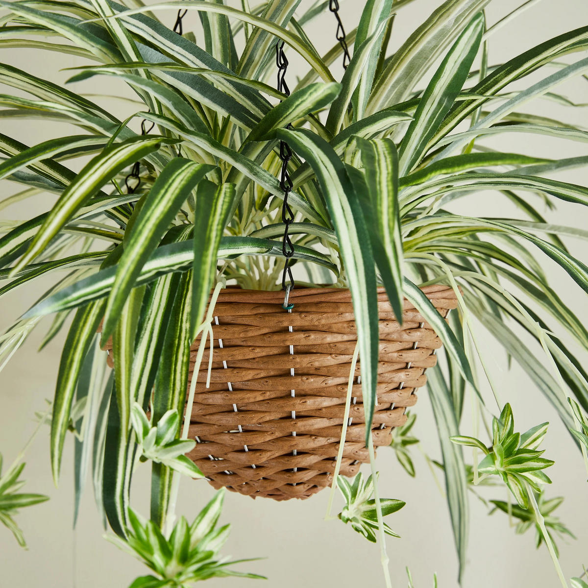 KUNSTPFLANZE Künstliche Hänge-Grünlilie – Aurelio 60 cm - Grün, Kunststoff (60cm) - aplanta
