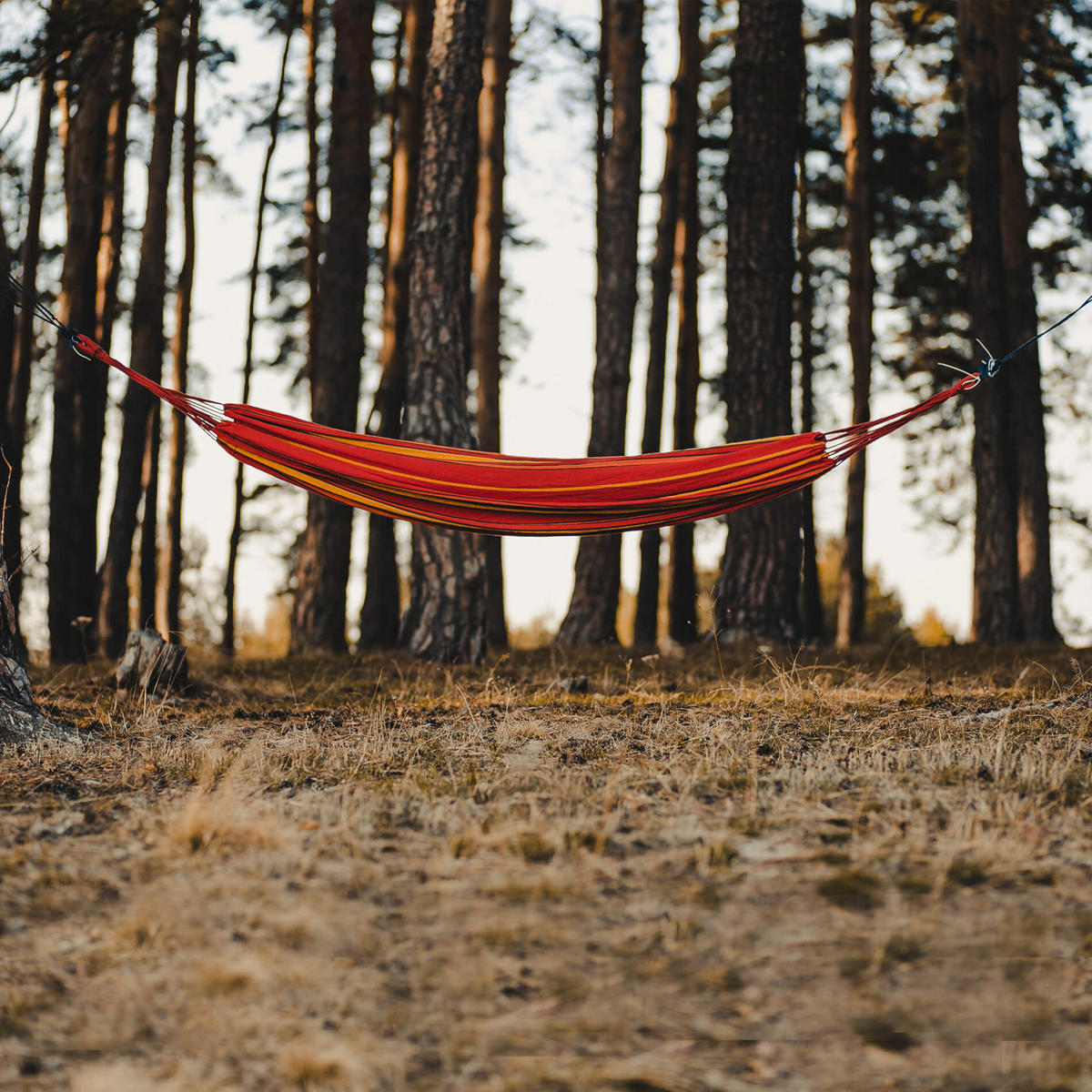 HÄNGEMATTE Mehrfarbig 330/160/1 cm - Multicolor, Textil (330/1/150cm) - Mobili Rebecca