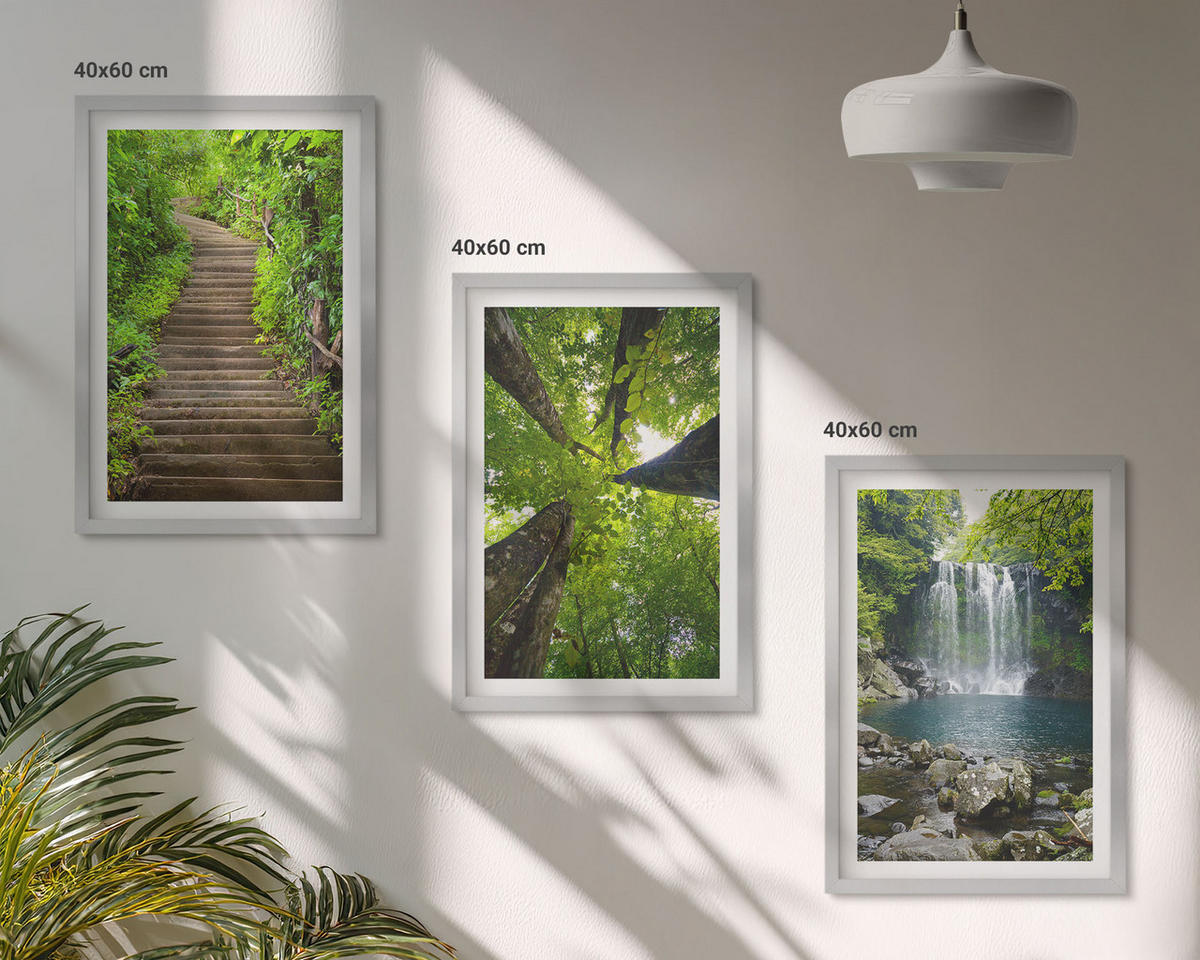 BILDER SET 3er Set - 40x60 cm Silberner Rahmen - Pfad Wald Wasserfall Vegetation - Silberfarben, Kunststoff (40/60cm) - TULUP