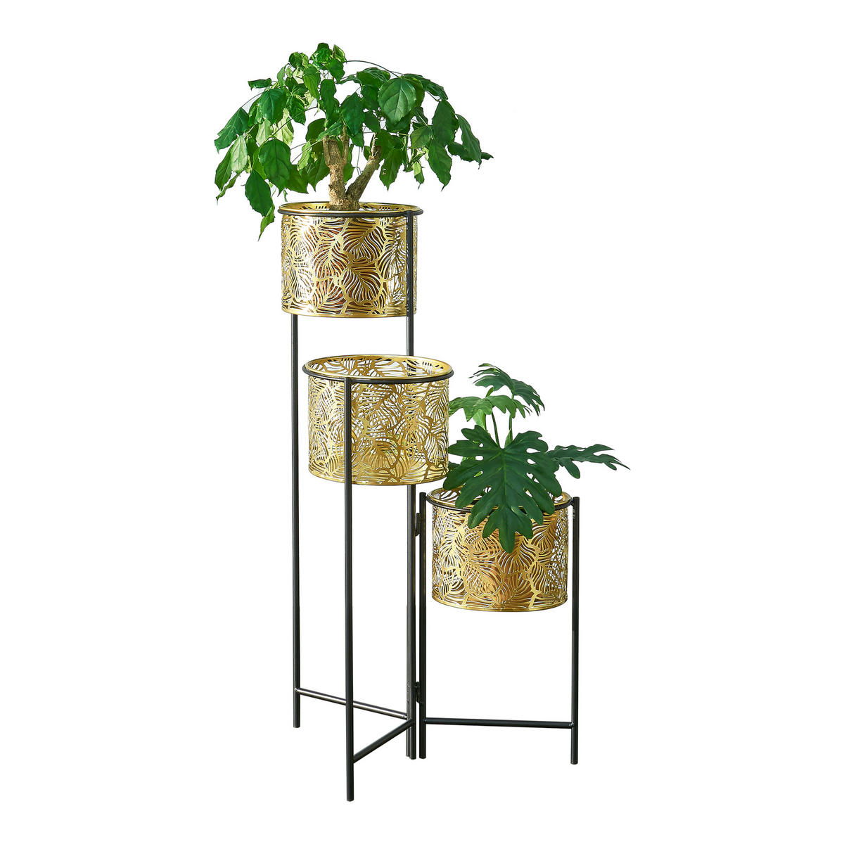 PFLANZENSTÄNDER Verrebroek - Messingfarben/Schwarz, Metall (45/80/45cm) - [en.casa]