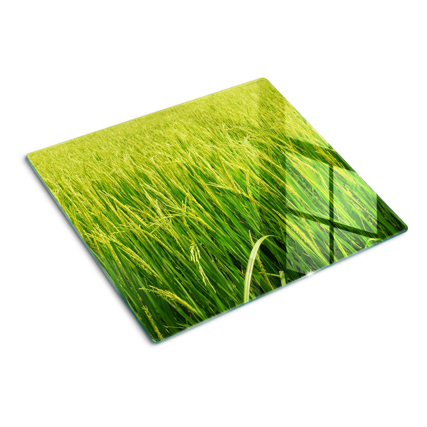 GLASPLATTE 60x52 cm Reisfeld - Grün, Glas (60/0.4/52cm) - TULUP