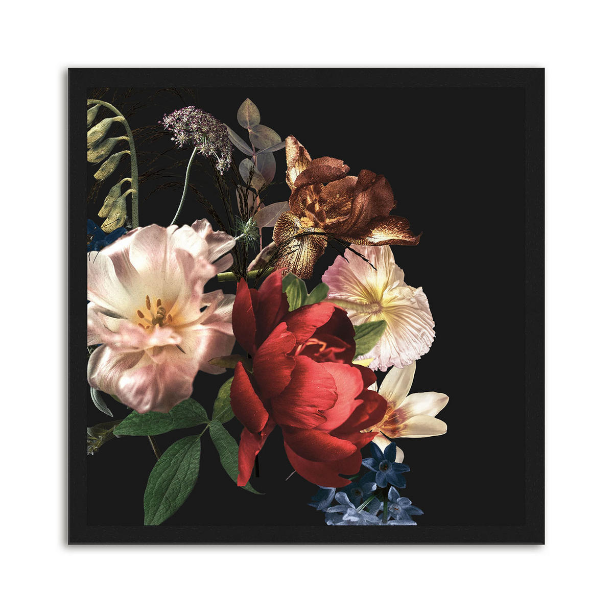 BILDER-SET mit Rahmen 4 x 30x30 cm Vintage Blumen schwarz - Gelb, Holz (30/30cm) - artissimo