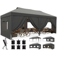 FALTPAVILLON 3x6m mit Seitenwänden und Insektenschutz Grau - Grau, Textil (585/285/293cm)