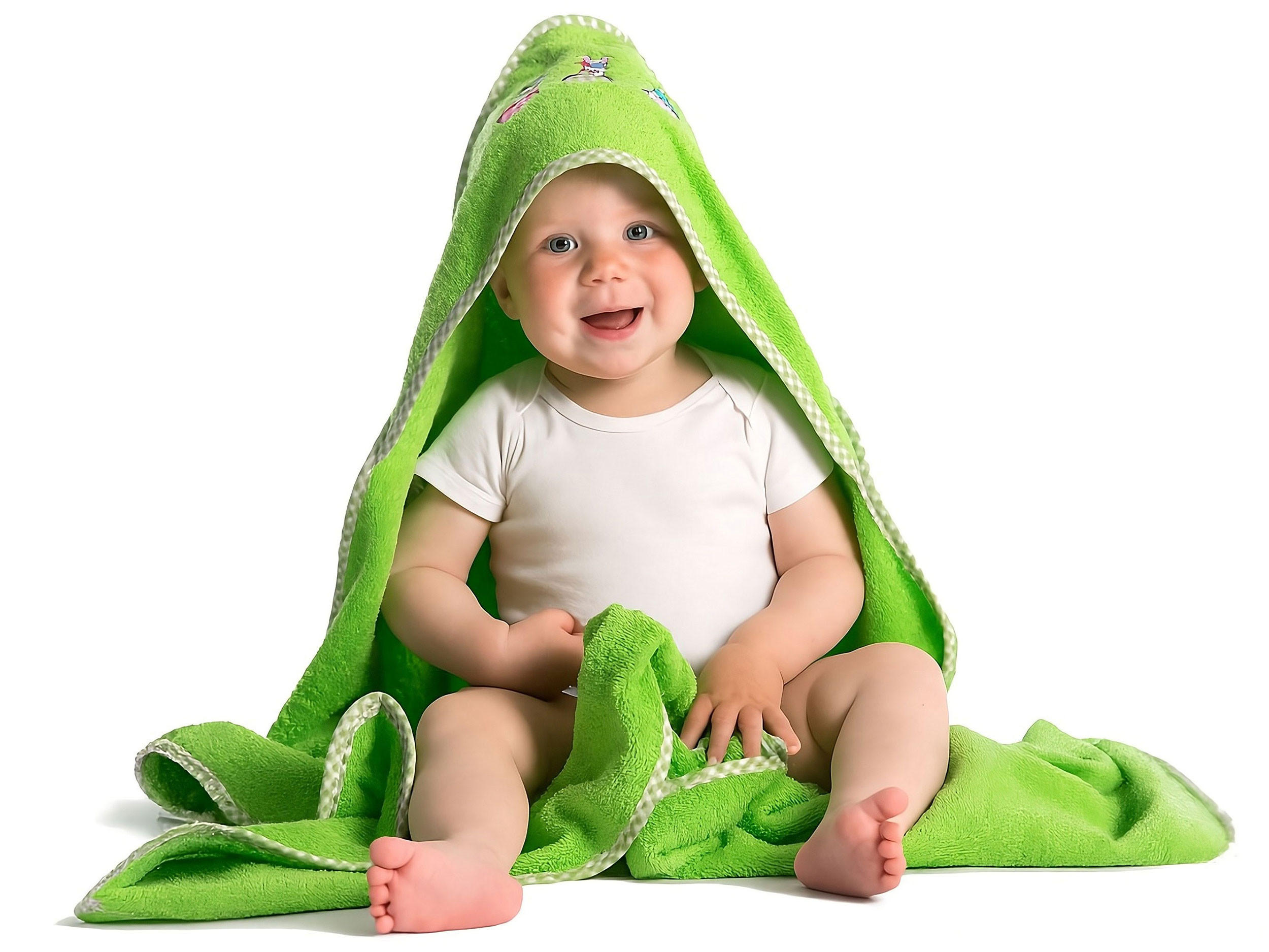 HANDTÜCHER, 100x100 cm, 100% Baumwolle, Grün - Hellgrün, Textil (100/100cm) - Zollner