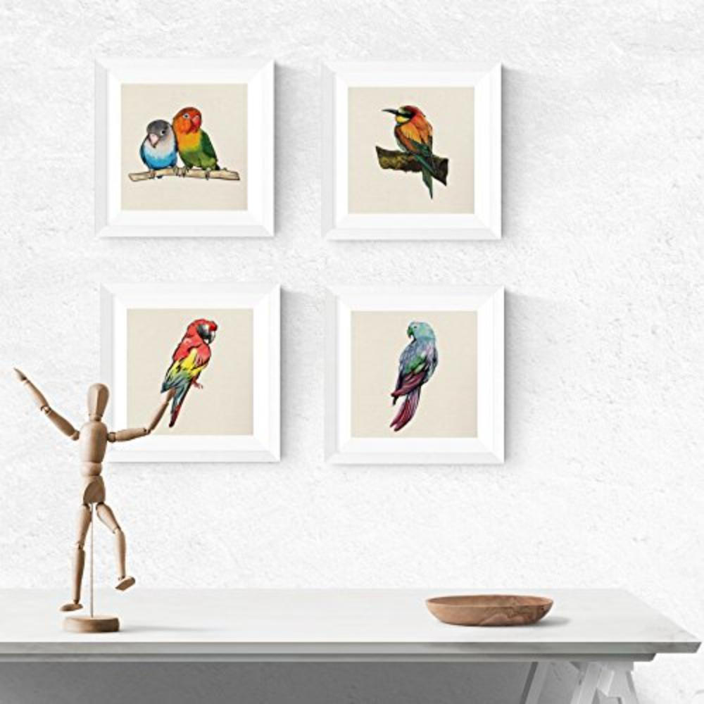 POSTER Set Mit 4 Vögel Tiere 15X15cm Schwarzer Rahmen - Schwarz, Papier (15/3cm) - Nacnic