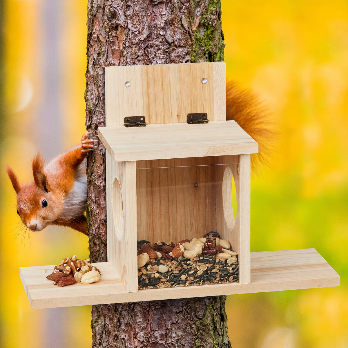 EICHHÖRNCHENFUTTERHAUS - Hellbraun, Holz/Kunststoff (35/24/13cm) - Relaxdays