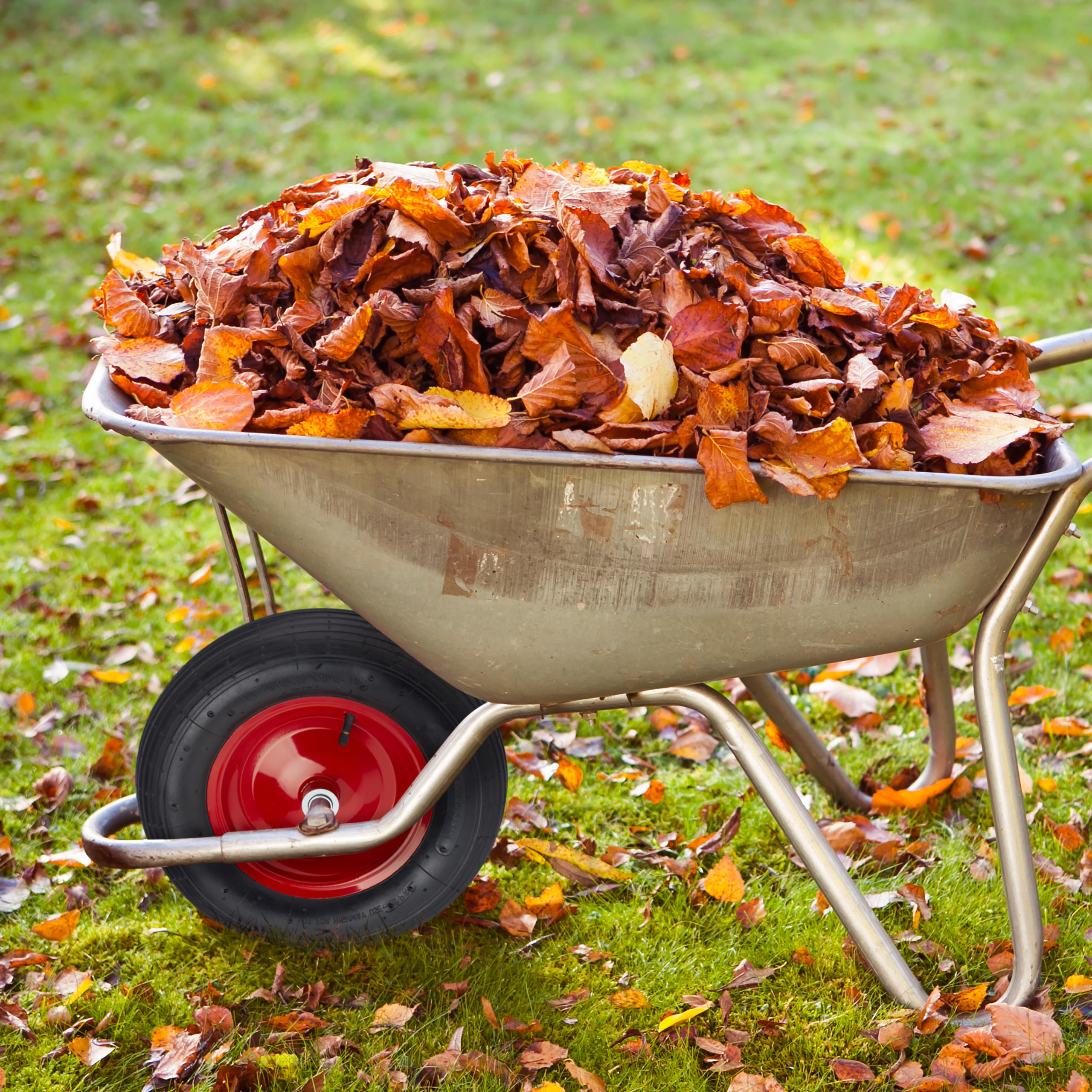 SCHUBKARRENRAD - Multicolor, Kunststoff/Metall (39/39/9cm) - Relaxdays