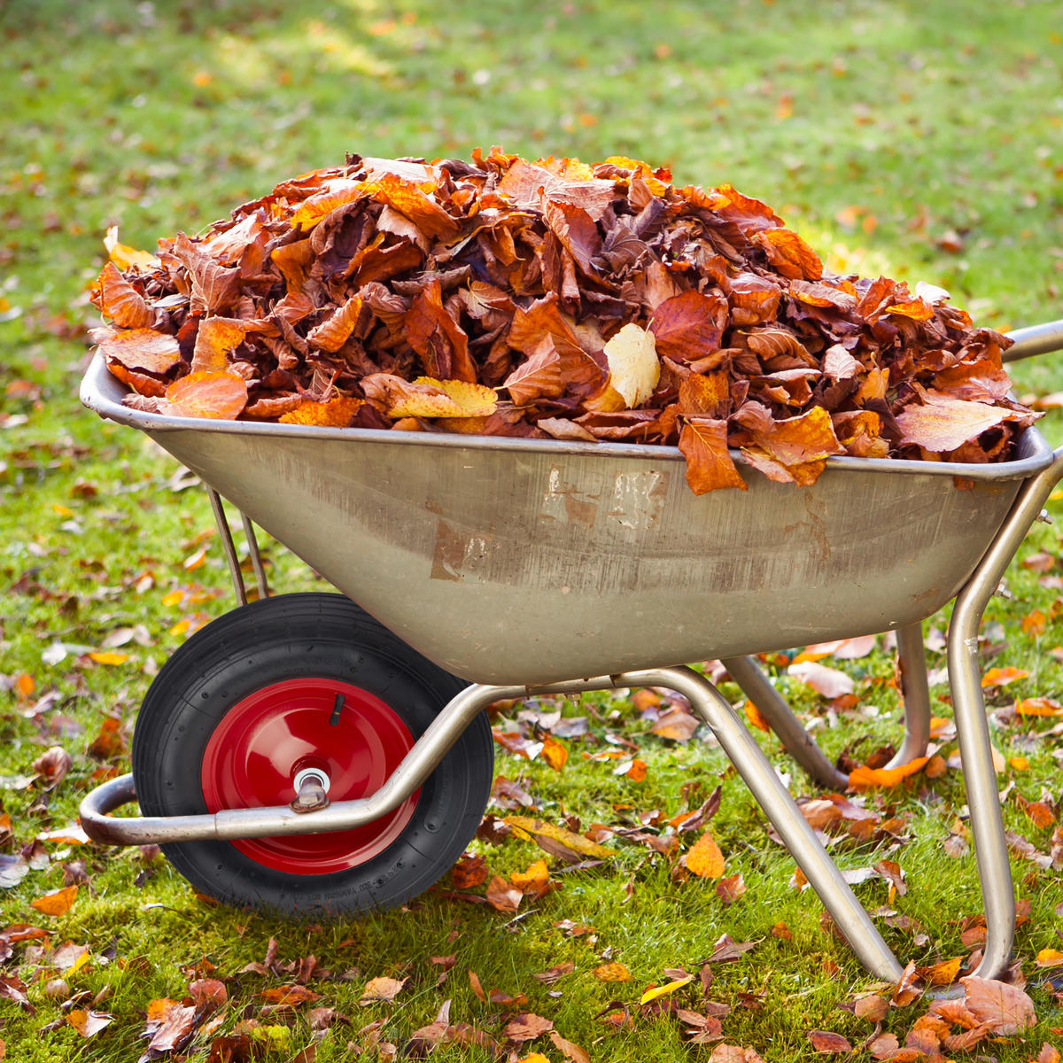 SCHUBKARRENRAD - Multicolor, Kunststoff/Metall (39/39/9cm) - Relaxdays