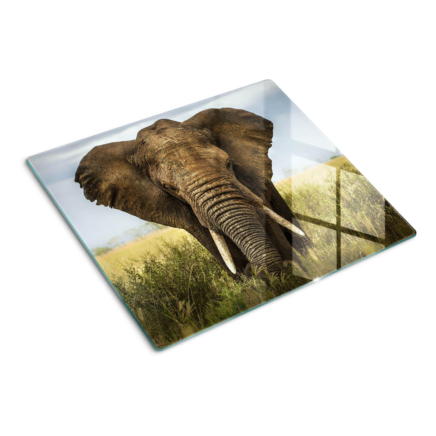 GLASPLATTE 60x52 cm Elefantensavanne - Braun, Glas (60/0.4/52cm) - TULUP