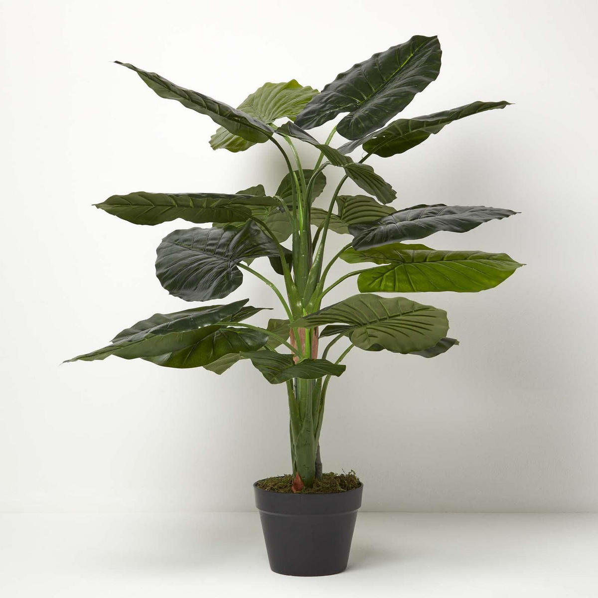 KUNSTPFLANZE Taro, 90 cm - Grün, Kunststoff (90cm) - Homescapes