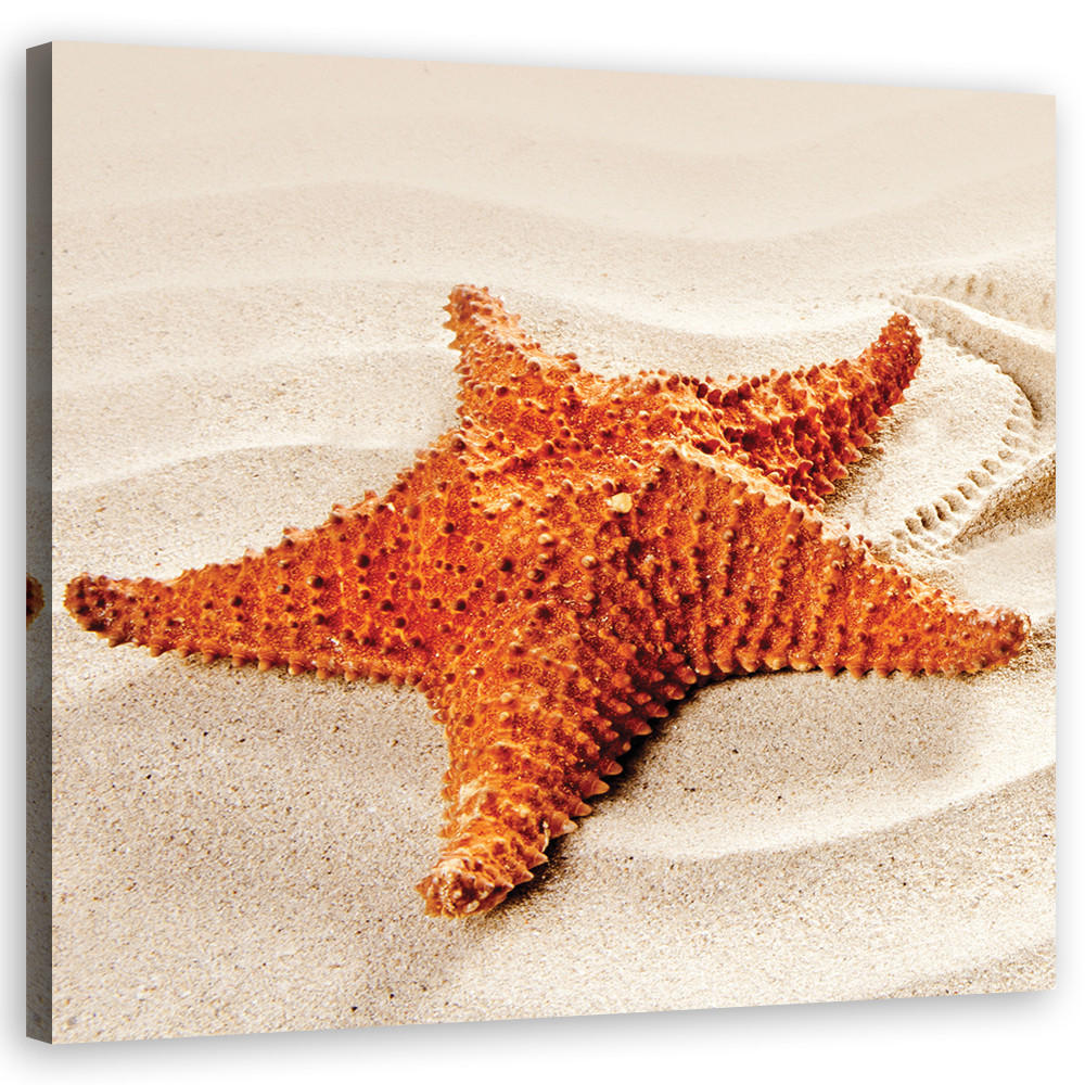 LEINWANDBILD, Tiere - Beige 30x30cm - Beige, Textil (30/30cm) - Feeby