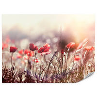 FOTOTAPETA Pre Jedáleň Poľné Kvety Červená Maková Lúka Slnko 500 x 350 cm - oranžová/hnedá, papier (500/350cm) - Muralo