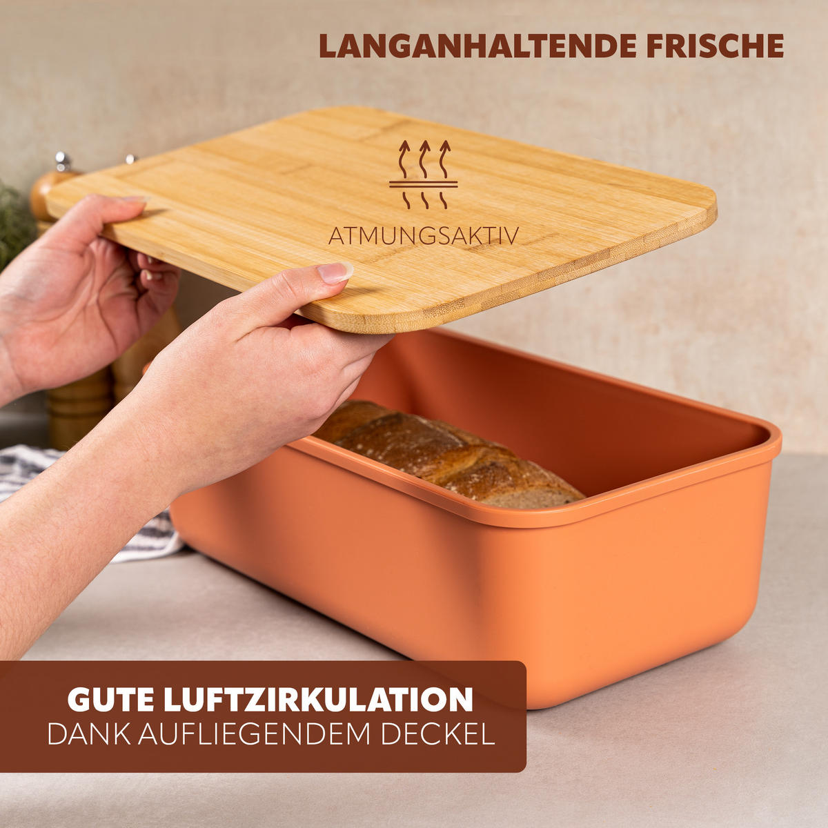 BROTKASTEN, braun - Rotbraun, Kunststoff (40/12.5/23cm) - bremermann