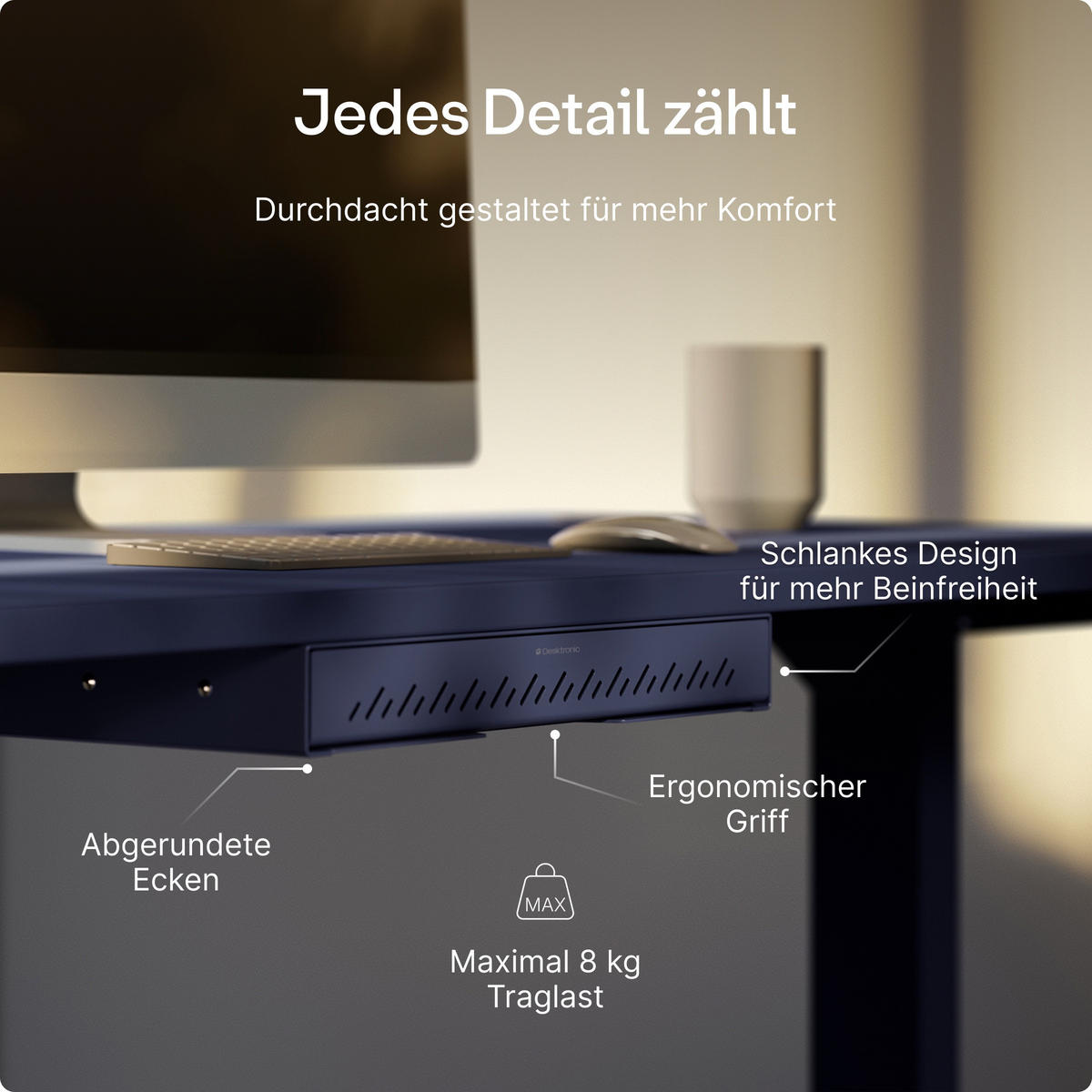 SCHUBLADEN-ORGANIZER unter dem Schreibtisch, 41x27x5cm Blau - Blau, Metall (41/27/5cm) - Desktronic