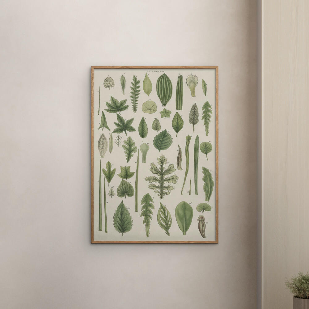 POSTER Wild Apple - Assortment of Leaves II - Grün, Papier (70/100/0.1cm) - Poster&Frame