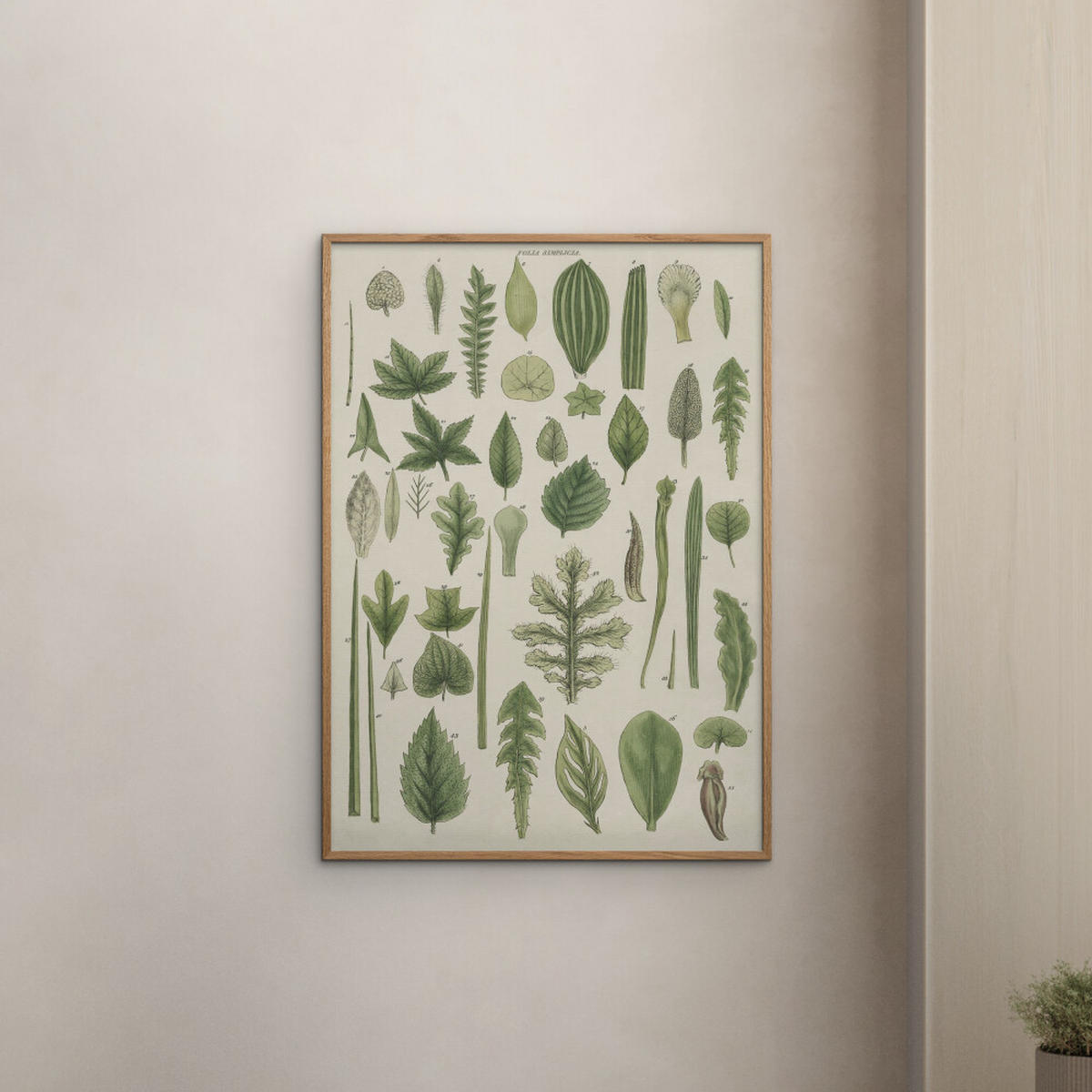POSTER Wild Apple - Assortment of Leaves II - Grün, Papier (70/100/0.1cm) - Poster&Frame