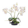 KUNSTBLUME Orchidee weiß-pink in Deko-Schale, 38 cm - Weiß, Kunststoff (38cm) - Homescapes