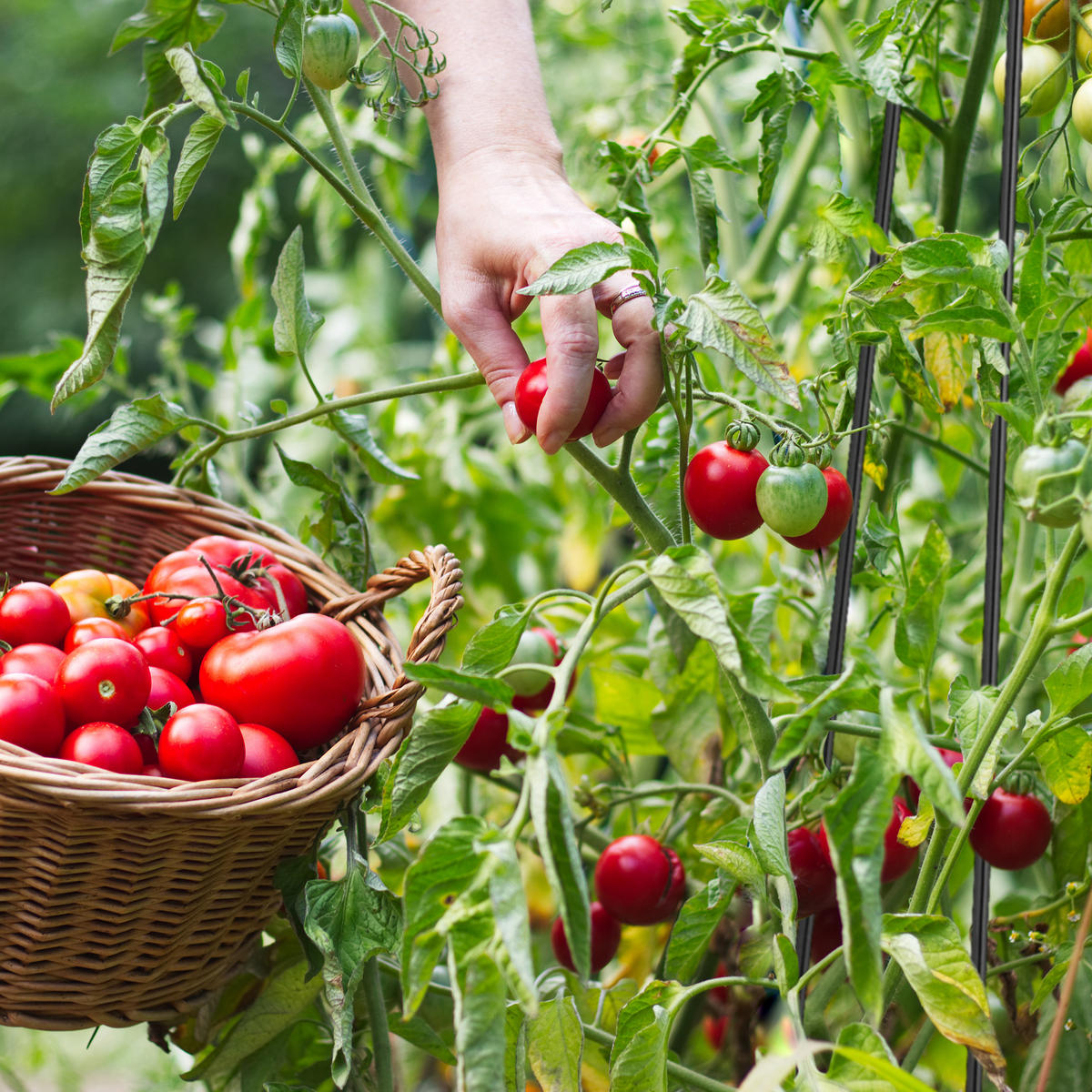 2XRANKHILFE - Schwarz, Metall (20/150/20cm) - Relaxdays