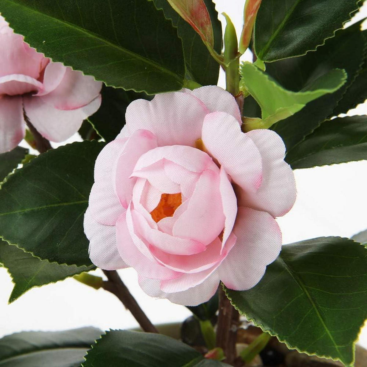 KÜNSTLICHE Pflanze Kamelie Rosa 28 cm - Rosa, Kunststoff (28cm)