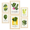 POSTER Set Mit 6 Lebensmittel Und Ernährungs Grünes Gemüse Natur Und Botanikdrucke Für Innenarchitektur A3 & A4 Rahmen Aus Hellem Holz - Beige, Papier (29/3cm) - Nacnic