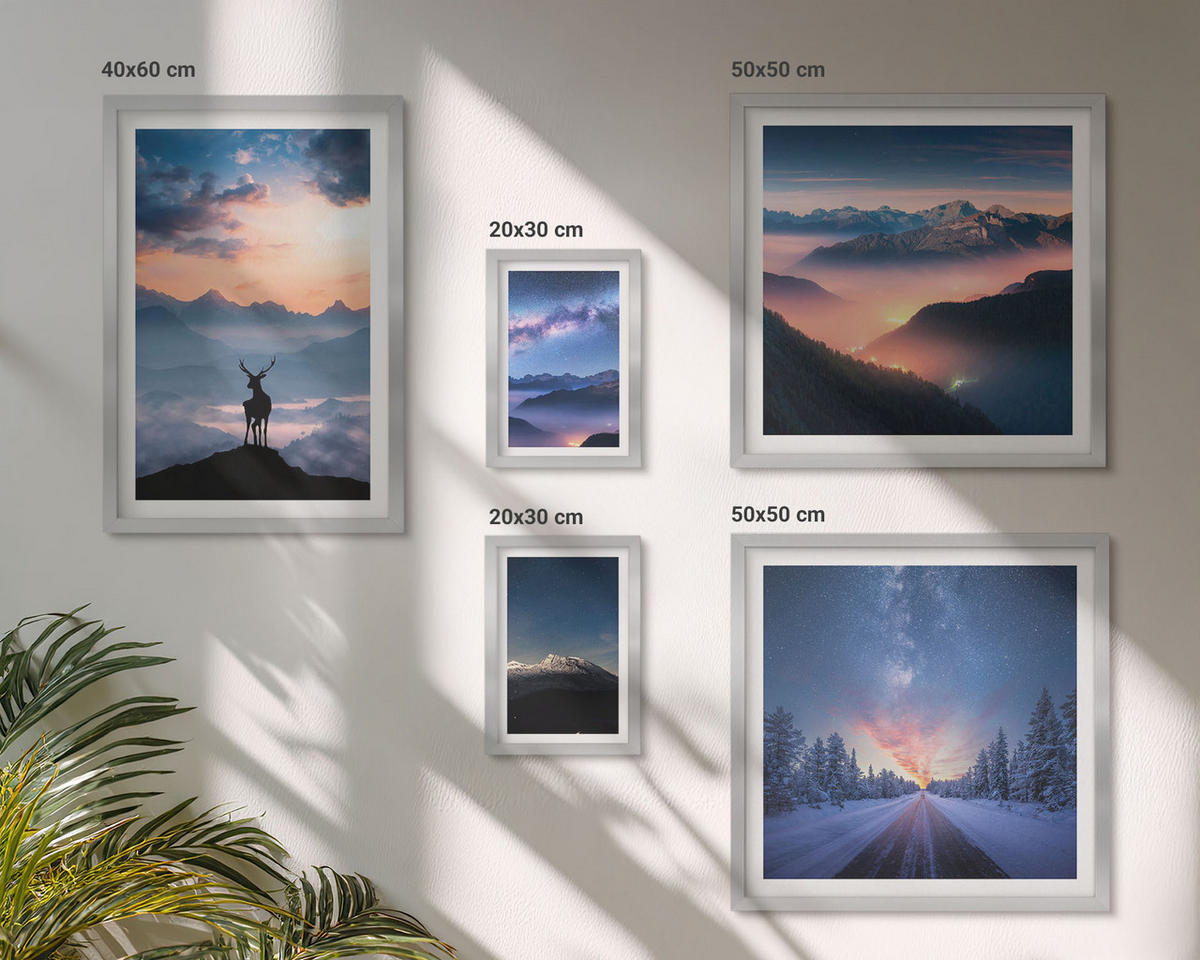 BILDER SET 5er Set - 50x50 cm & 20x30 cm & 40x60 cm Silberner Rahmen - Nachthimmel Berge Nebel Hirsch - Silberfarben, Kunststoff (40/60cm) - TULUP
