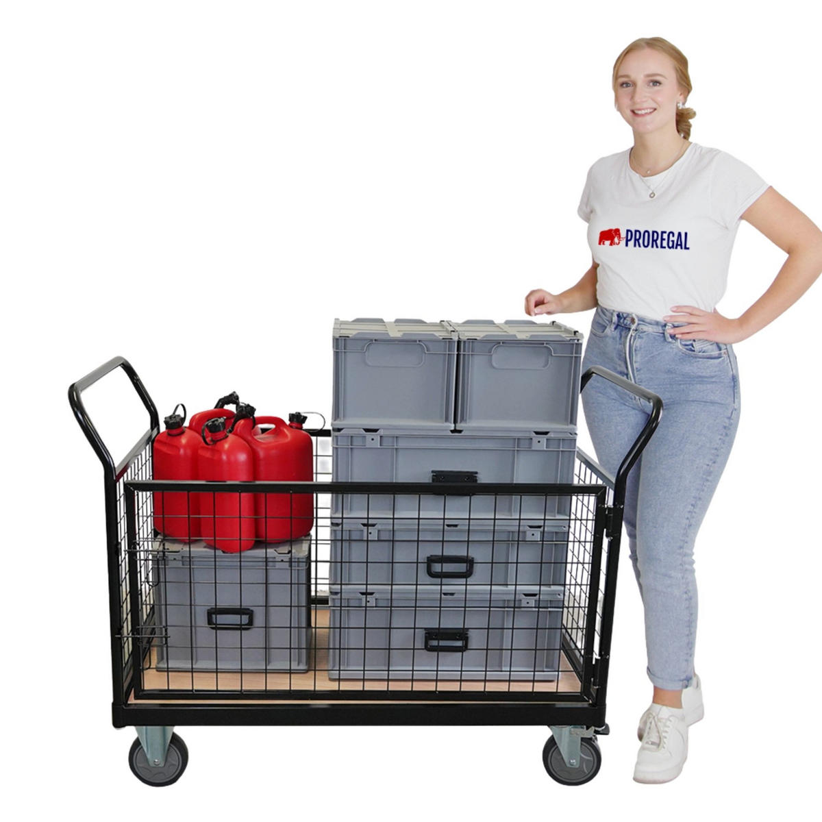 TRANSPORTWAGEN mit abnehmbaren Gitterwänden 104x135x67cm Traglast 400kg Schwarz - Schwarz, Metall (67/135/104cm) - PROREGAL