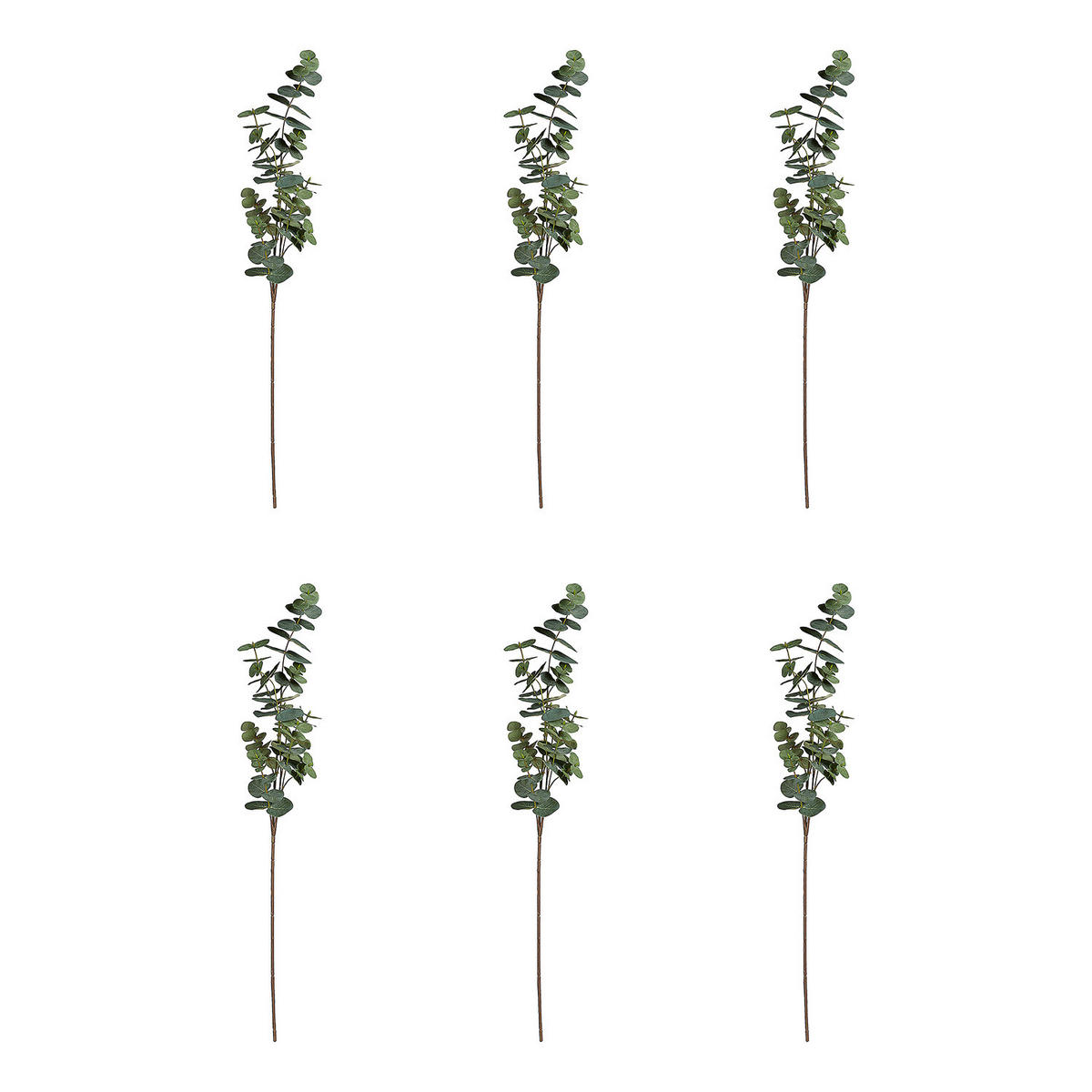 KUNSTBLUME (6er Set) Florista - Grün, Kunststoff (88cm) - Butlers