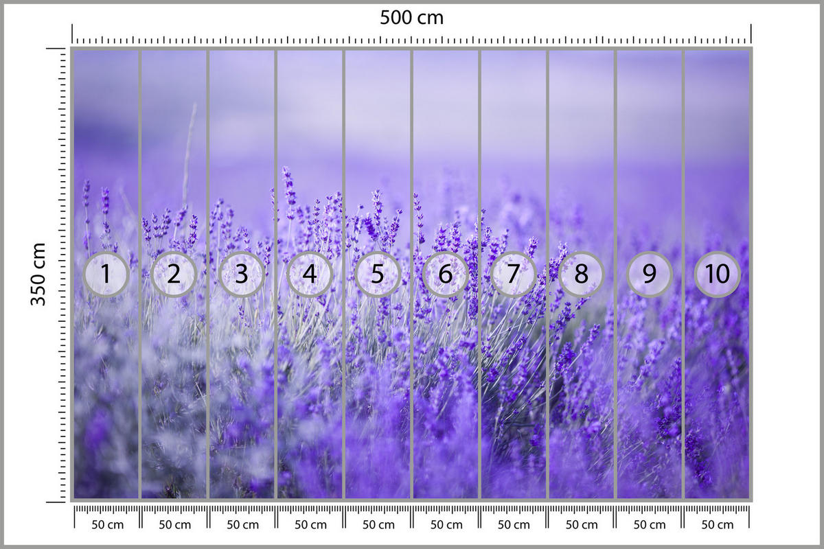 FOTOTAPETE für Küche Lavendelwiese Blüten Fliederfeld 500x350 - Violett/Lila, Papier (500/350cm) - Muralo