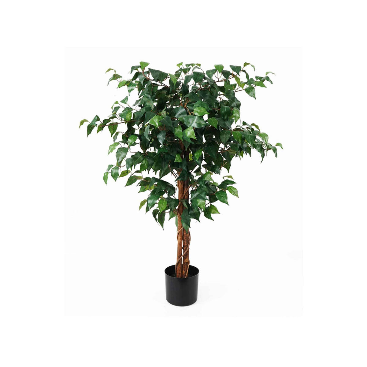 KÜNSTLICHE PFLANZE Fig Ficus Grün 76/76/110 cm - Grün, Kunststoff (110cm) - Present Time