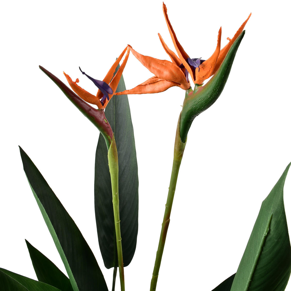 KUNSTBLUME Viridis grün 15/14/135 cm Kunststoff - Grün, Kunststoff (135cm) - Mondex