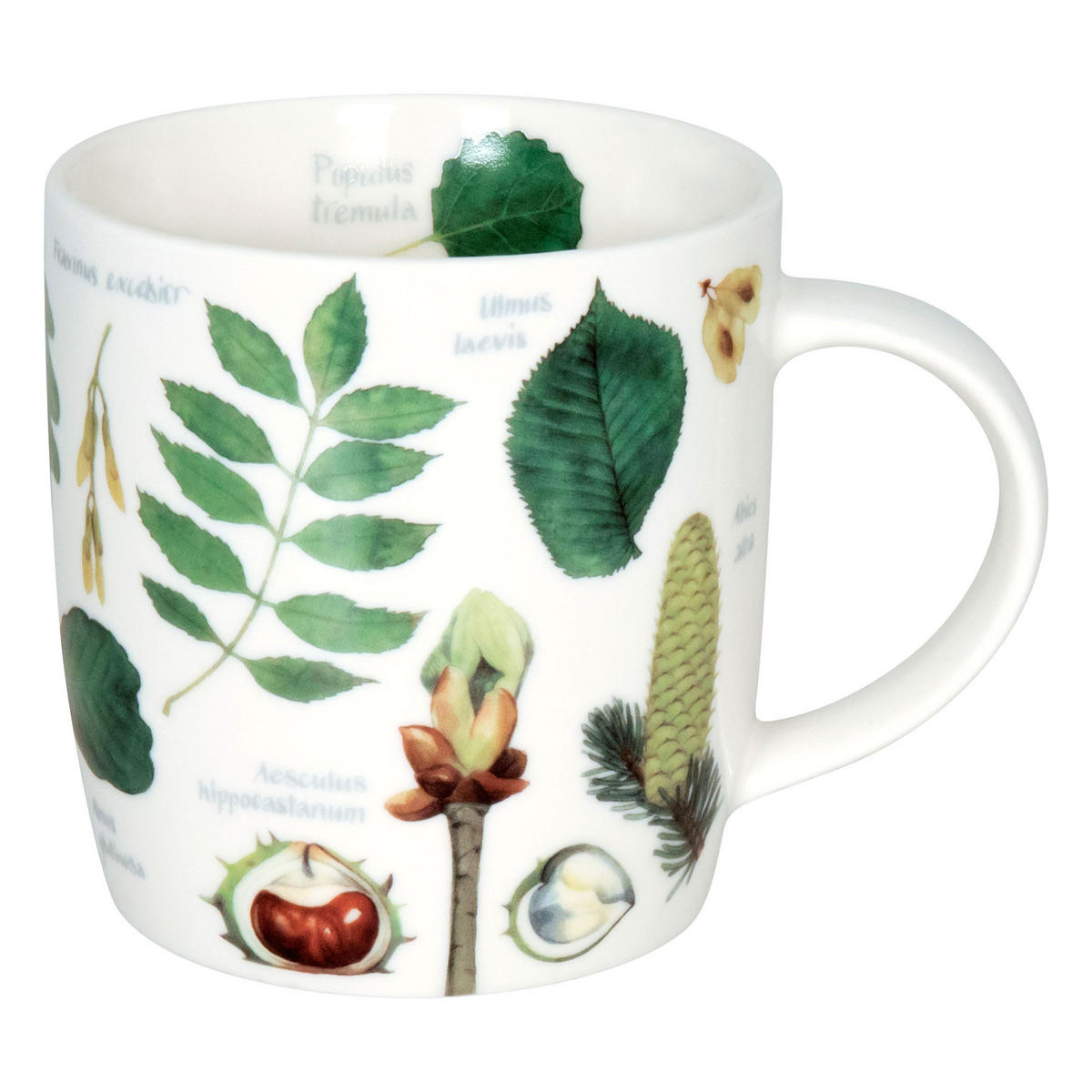 KAFFEEBECHER Natures Diversity - Trees - Naturfarben, Keramik (0.35L) - Könitz