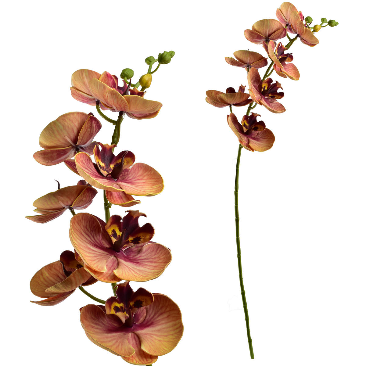 UMĚLÁ ORCHIDEJ Viridis, 85 cm - zelená barva, plast (85cm) - Mondex