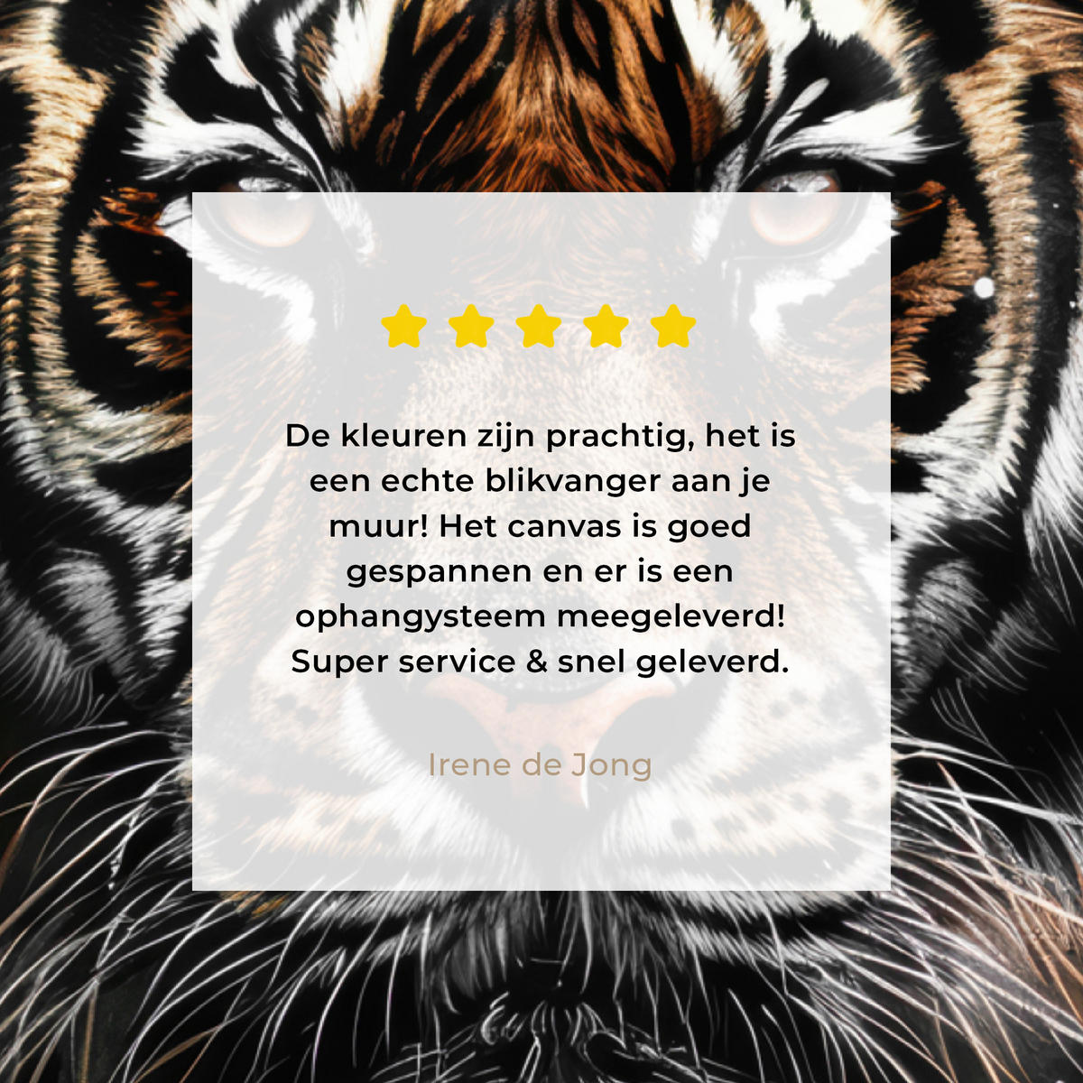 LEINWANDBILD Tiger - Tiere - Porträt - Luxus - Schwarz Room Decor 30x40 cm - Anthrazit, Textil (30/40cm) - MuchoWow