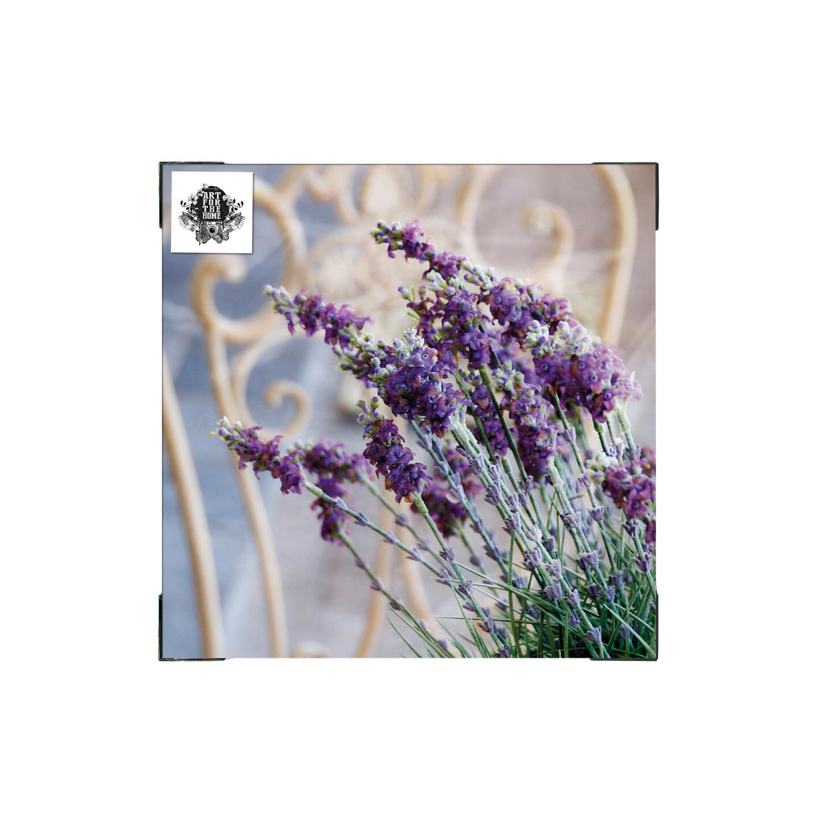 LEINWANDBILD Außenbereich Lavendel Harmonie 50x50cm - Lila, Holzwerkstoff (50/50cm) - Art for the Home
